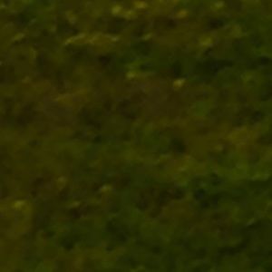 Meet your Posher, Wery